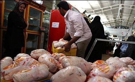 اخرین خبر ها از وضعیت گوشت مرغ